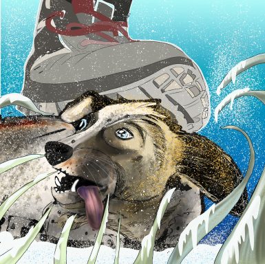 Ein Hund mit herunterhängender Zunge liegt im Schnee, während ein Fuß über ihn schwebt.